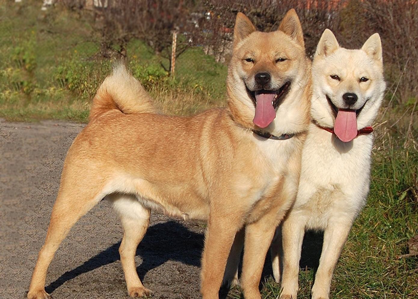 母子交配能受孕吗？_母子交配能受孕吗女性