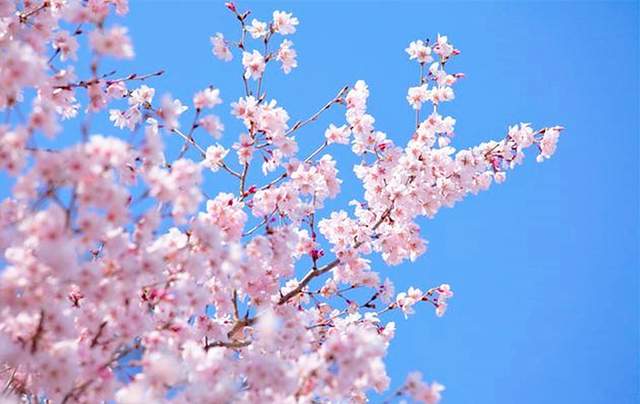 十二星座的性格脾气：你了解吗？