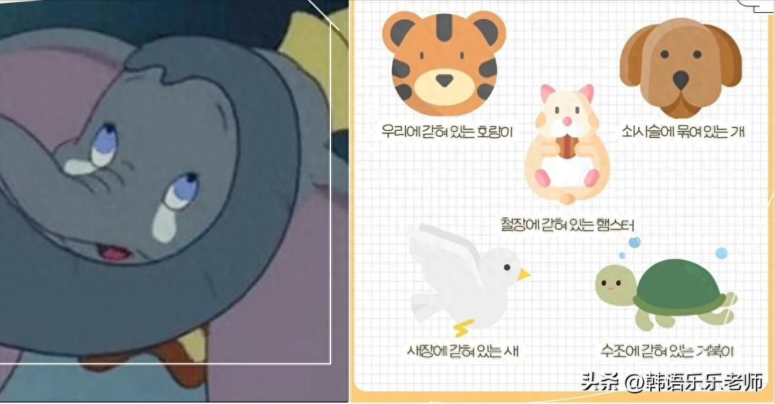 免费 心理压力测试 31题_心理压力测试app