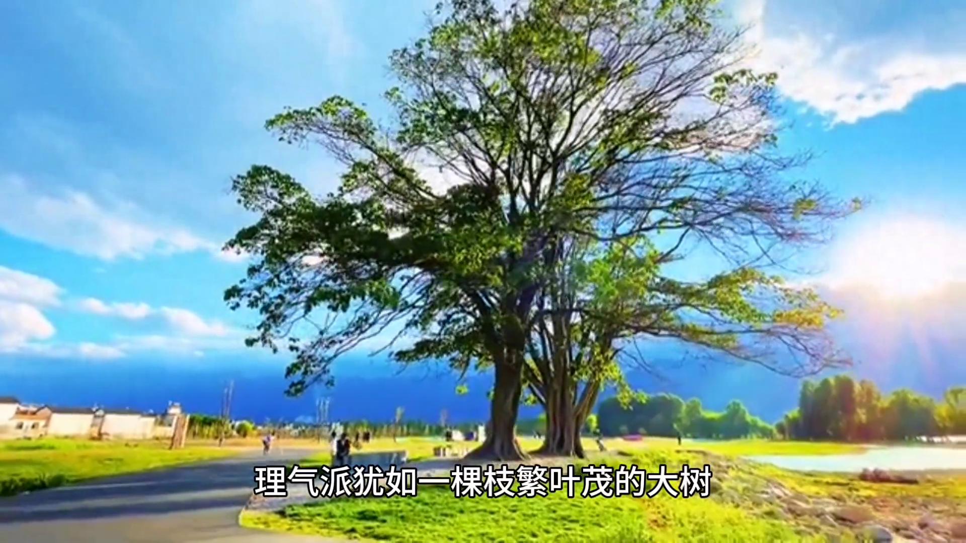 中国独有的风水学源远流长的真意