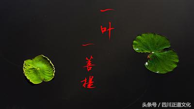 看破红尘是什么意思？_看破红尘是什么意思简单回答