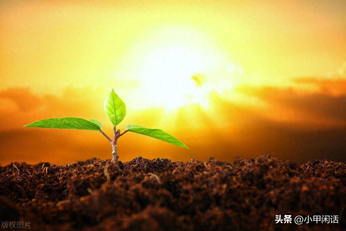 组织建设包括哪些方面的内容（组织建设的三要素）