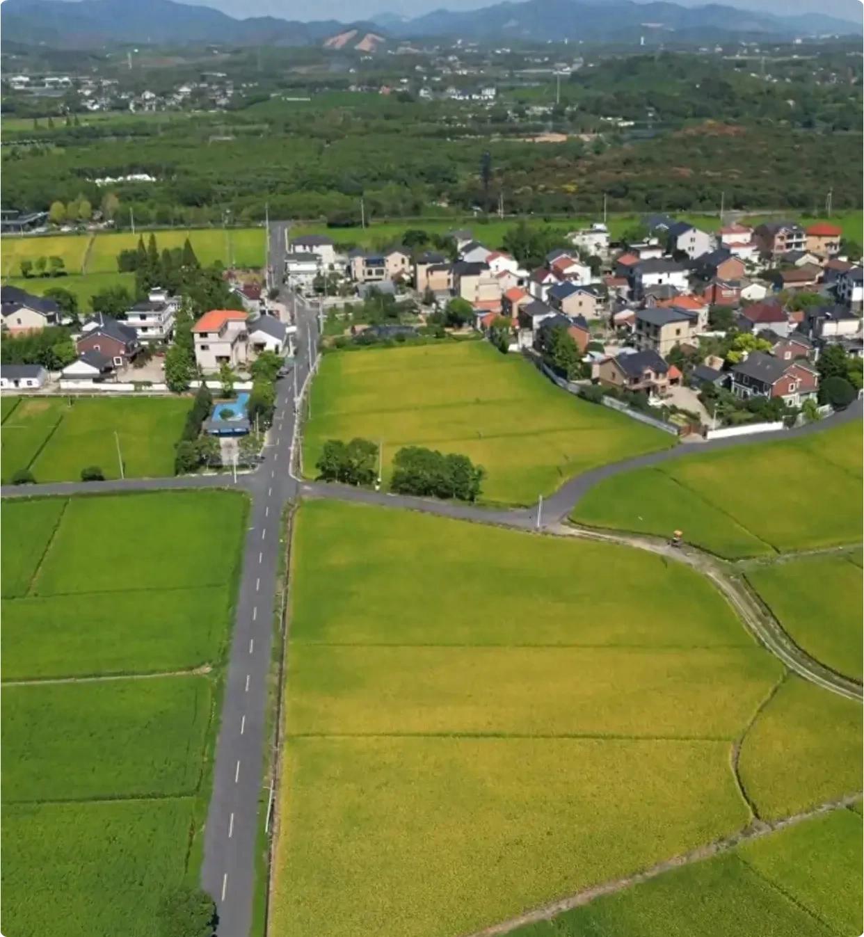 “女高男低”婚姻你能接受吗？