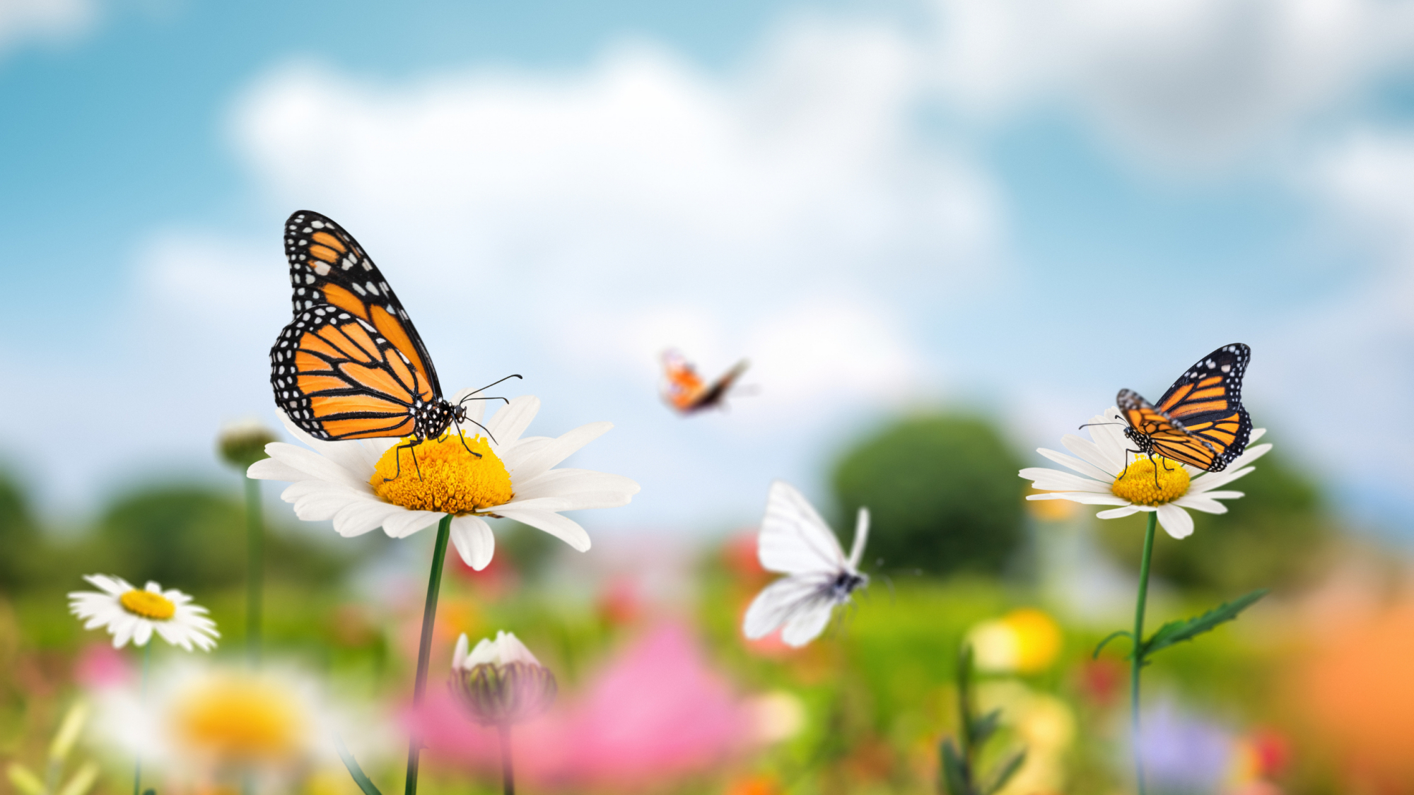 心态彻底崩掉怎么办？_心态完全崩了怎么办