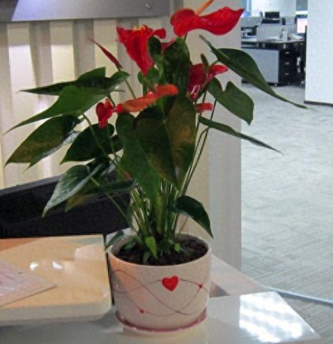 免费 心理抗压能力测试 14题