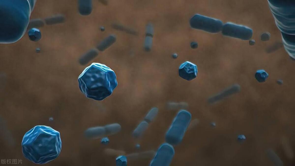 恋母情结是什么意思 恋母情结的表现？