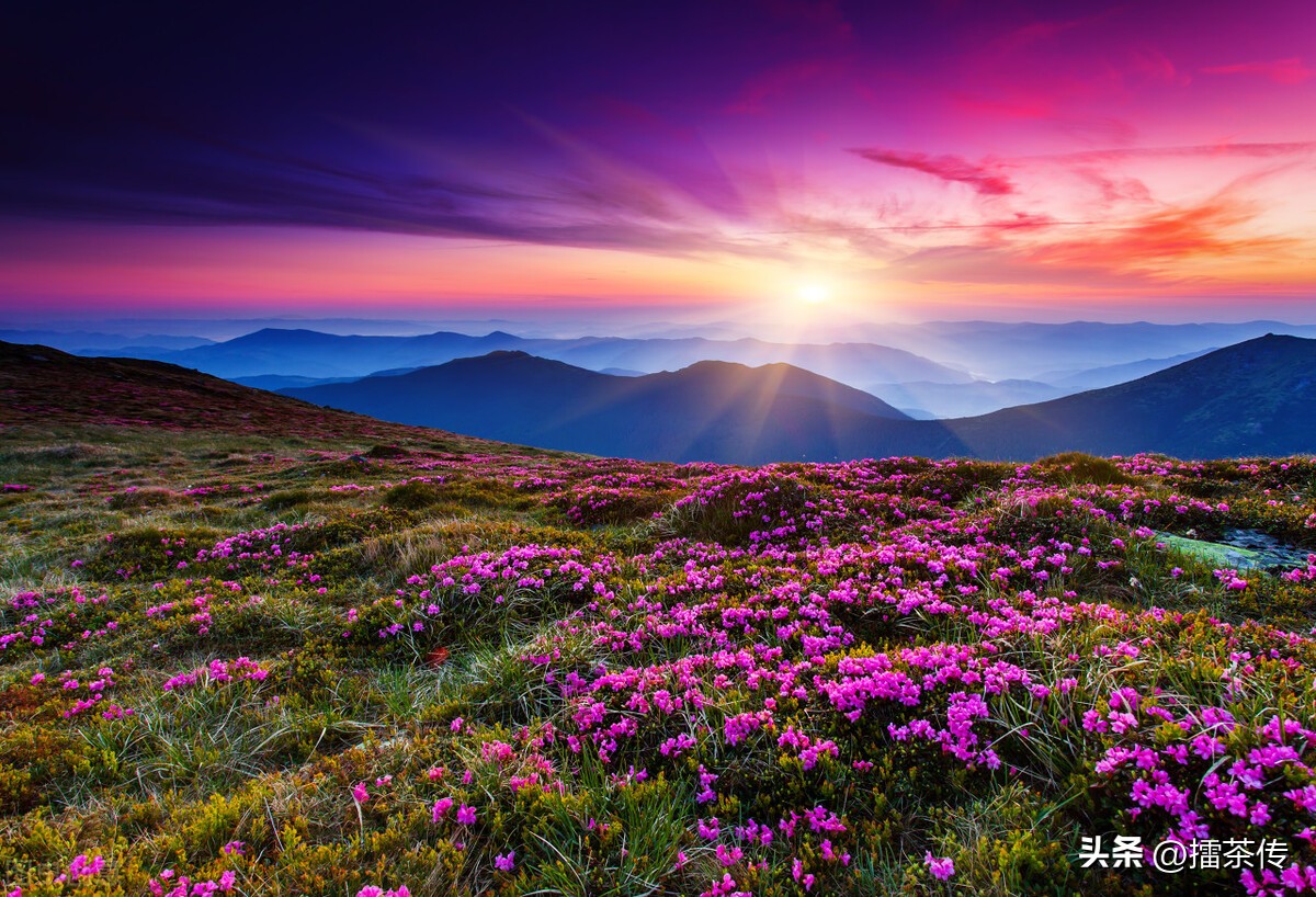 农历8月8日是什么星座农历几个月出生