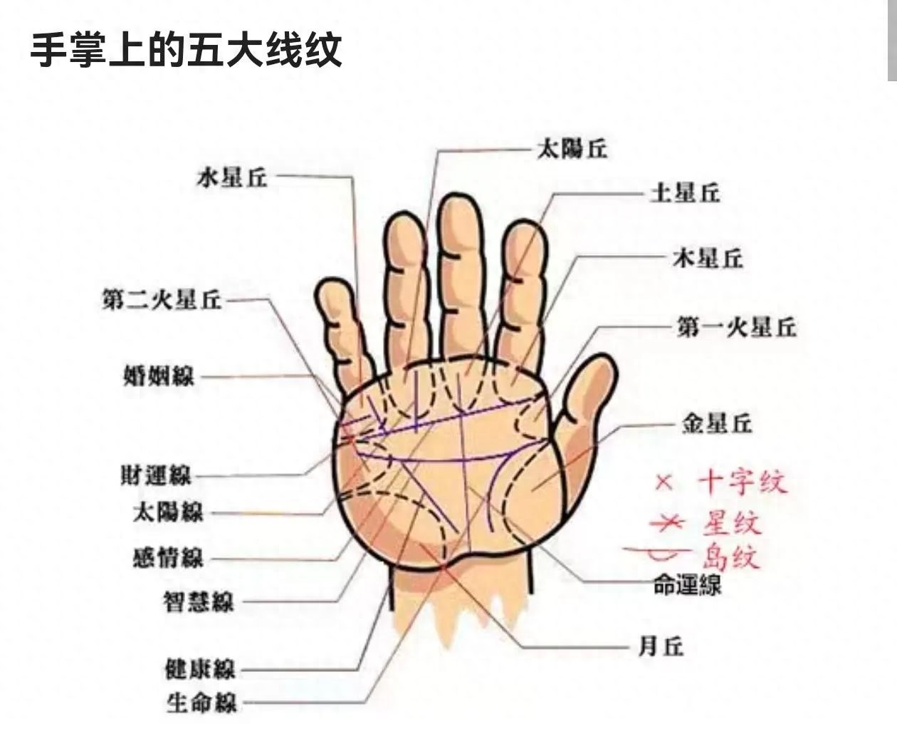 手纹看相算命（请伸出你的手，让我来看看你的性格与命运）
