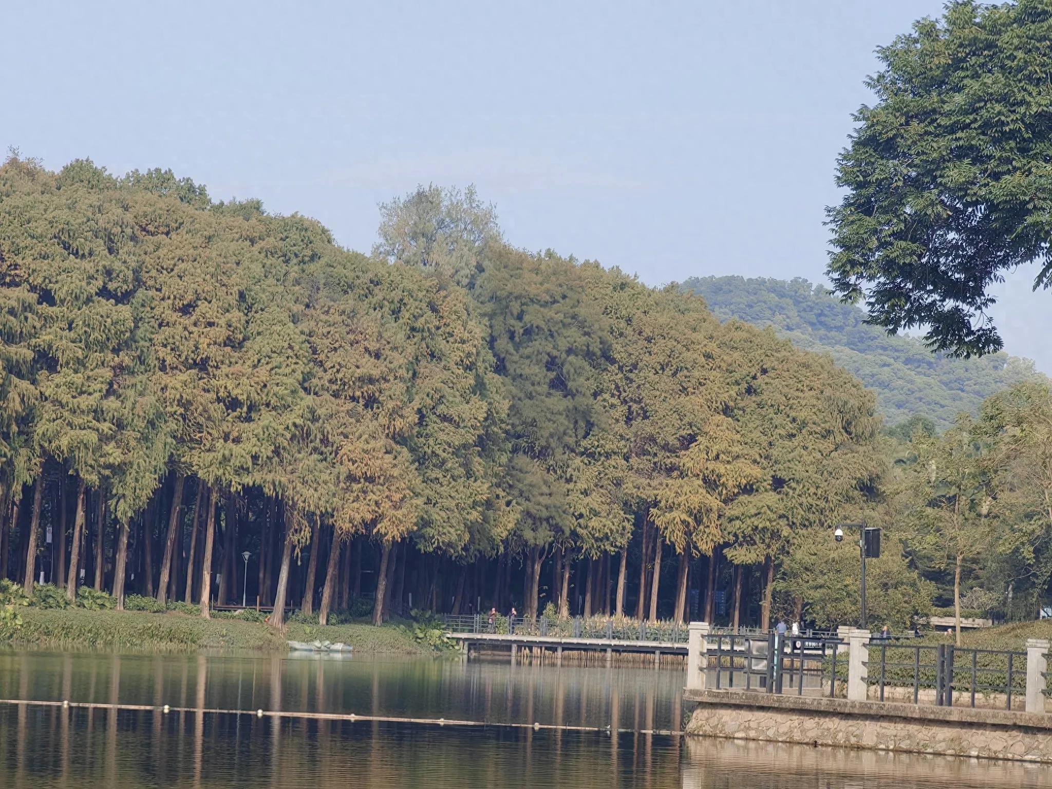 精神胜利法是什么呀，它会是没有用的吗？