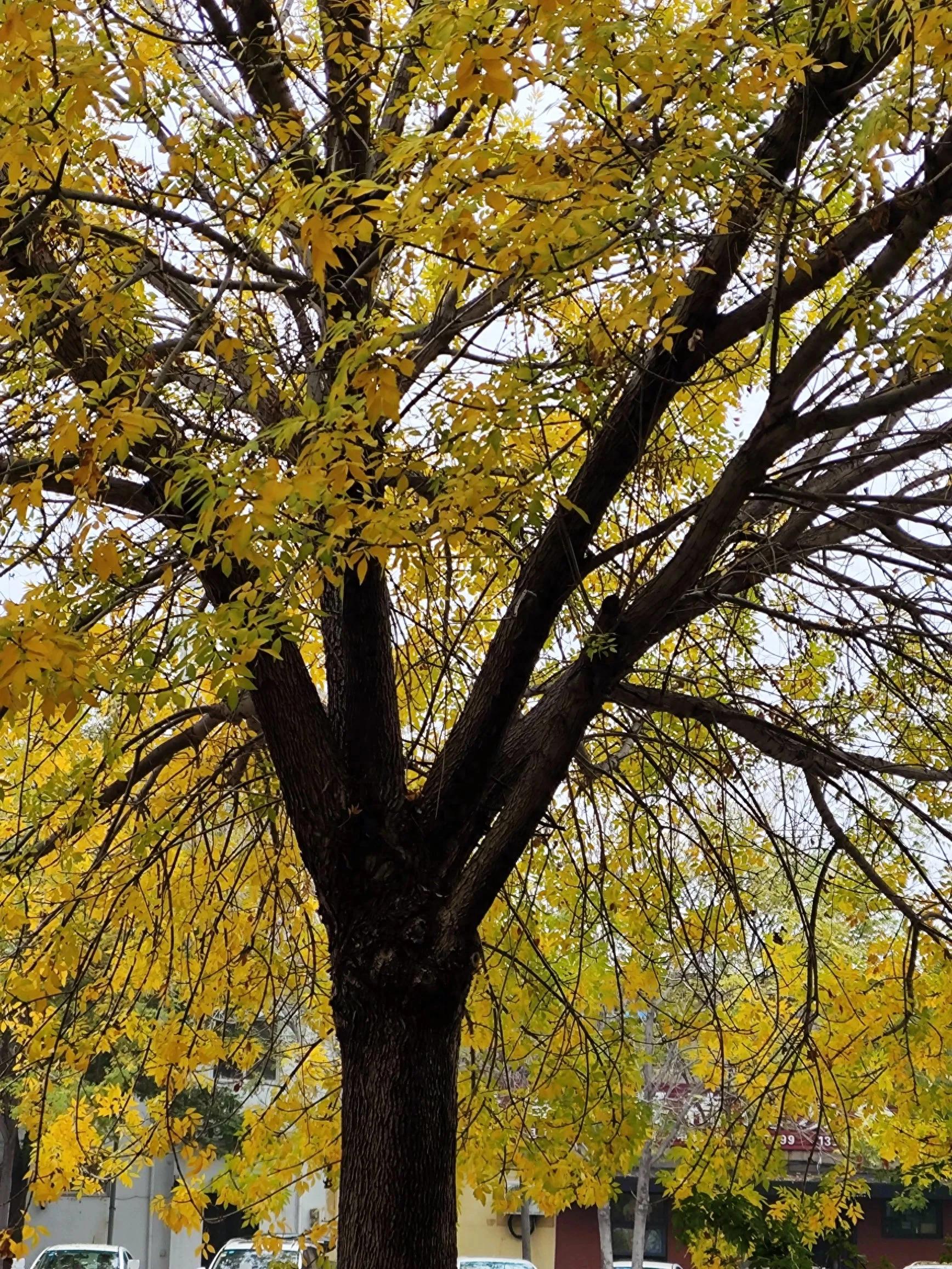 固执的人是什么性格_固执的人是什么性格怎么改