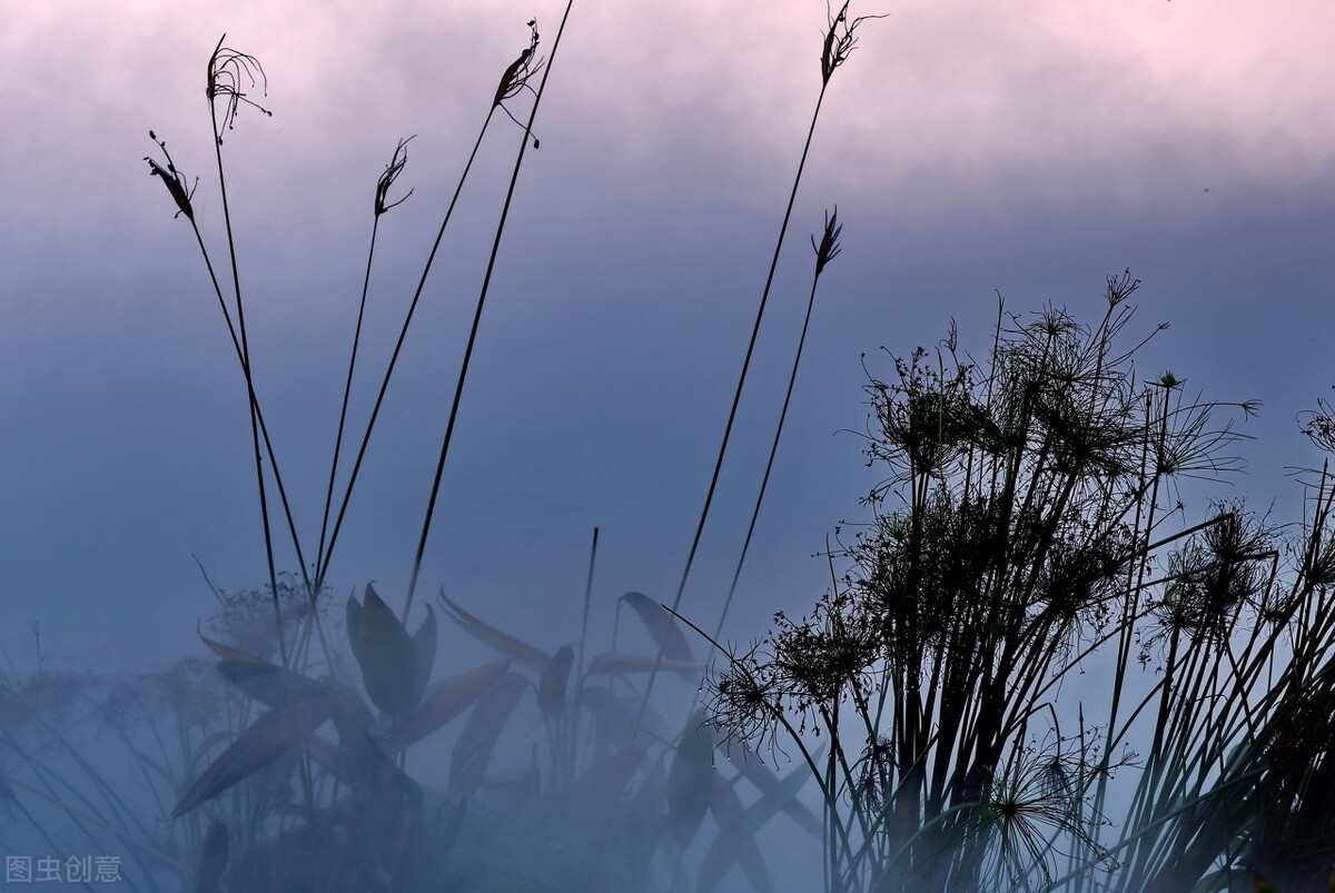 什么是双相情感障碍，类型症状与治疗方式有哪些？