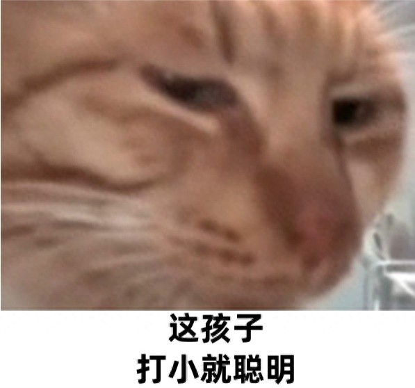 智商测试_智商测试在哪做比较权威