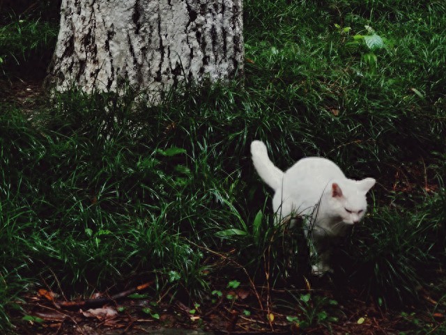 一个眼神秒杀全场的星座，眼神自带杀气的星座有哪些？