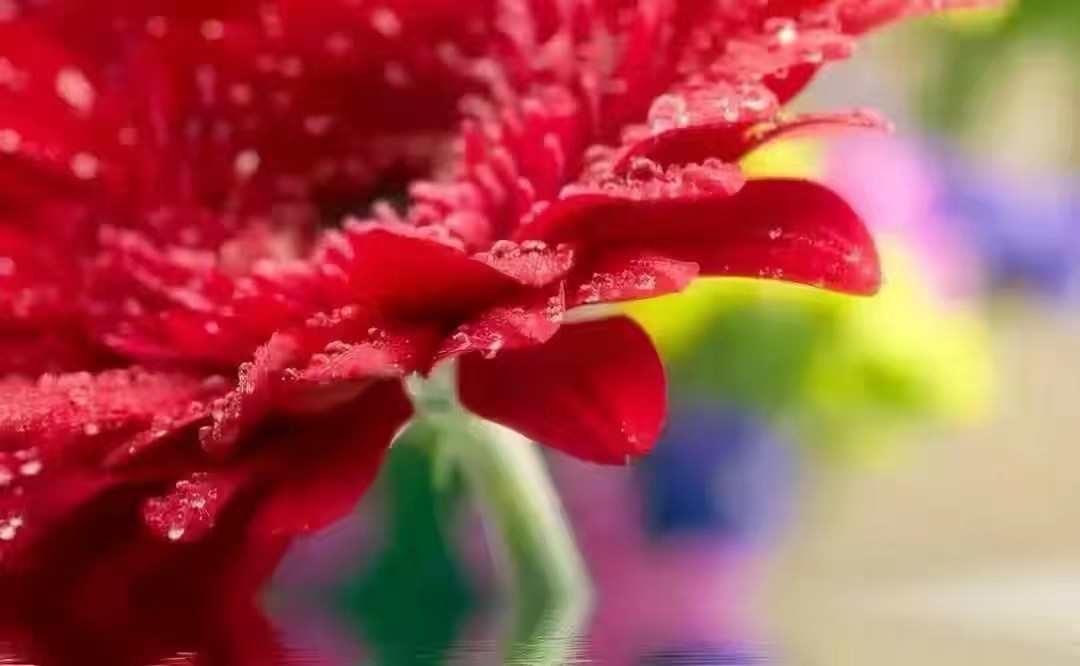 互相暗恋的人见面磁场感应_互相暗恋的人见面磁场感应 有好感