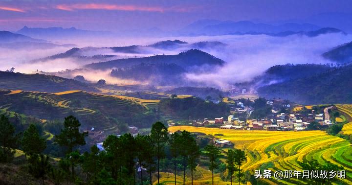 经常换工作的人的性格_经常换工作的人的命运