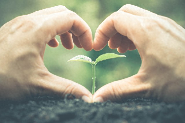 和姐姐发生了不该发生的事情