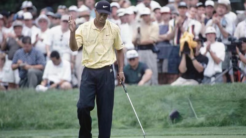 精神分析视角下的成瘾性行为