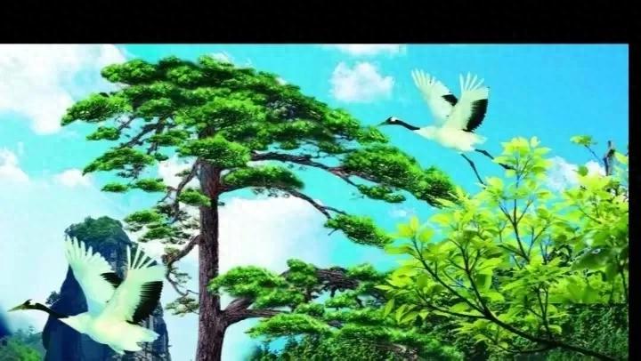 第8讲  为什么会有“器大活好”的说法？