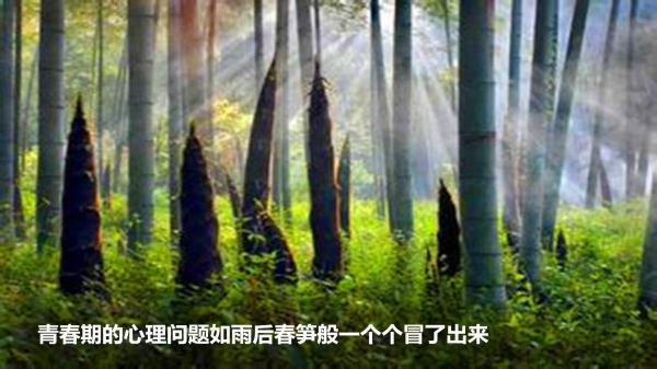 10-16岁叛逆期厌学心理的教育方法