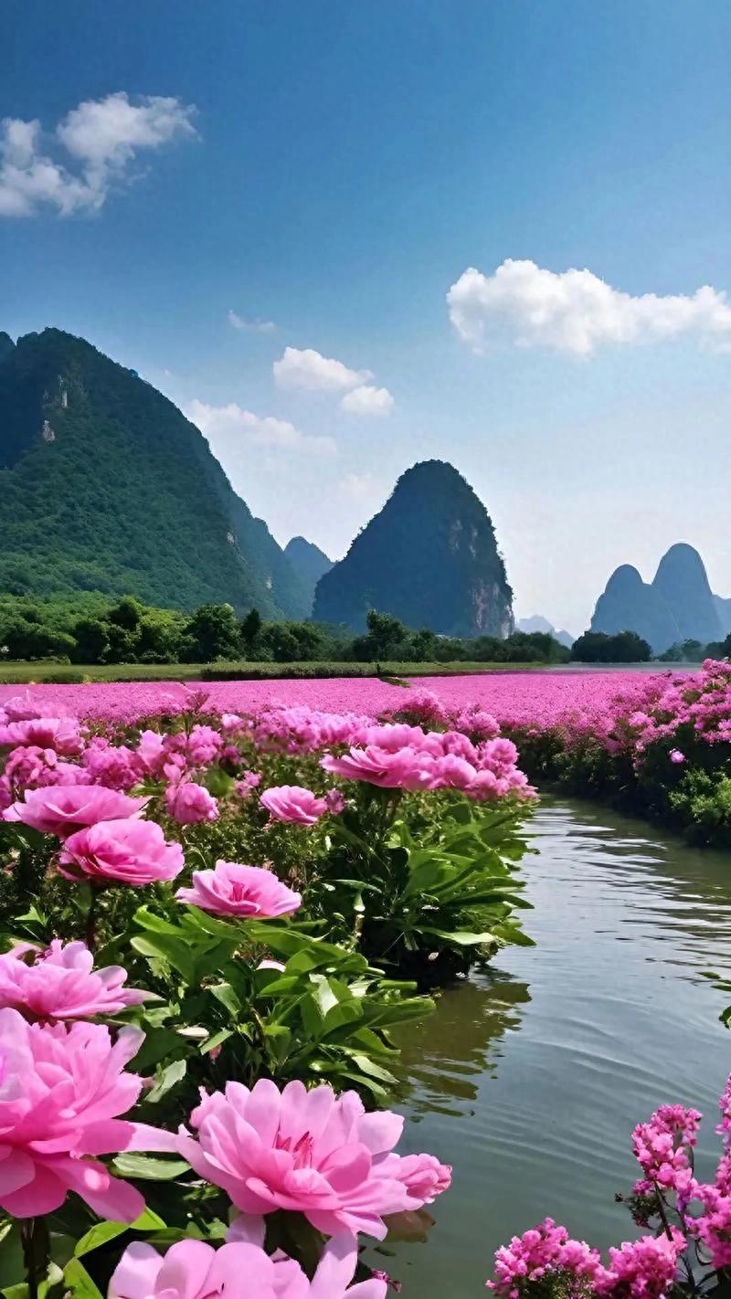 社交焦虑_社交焦虑免费师在线