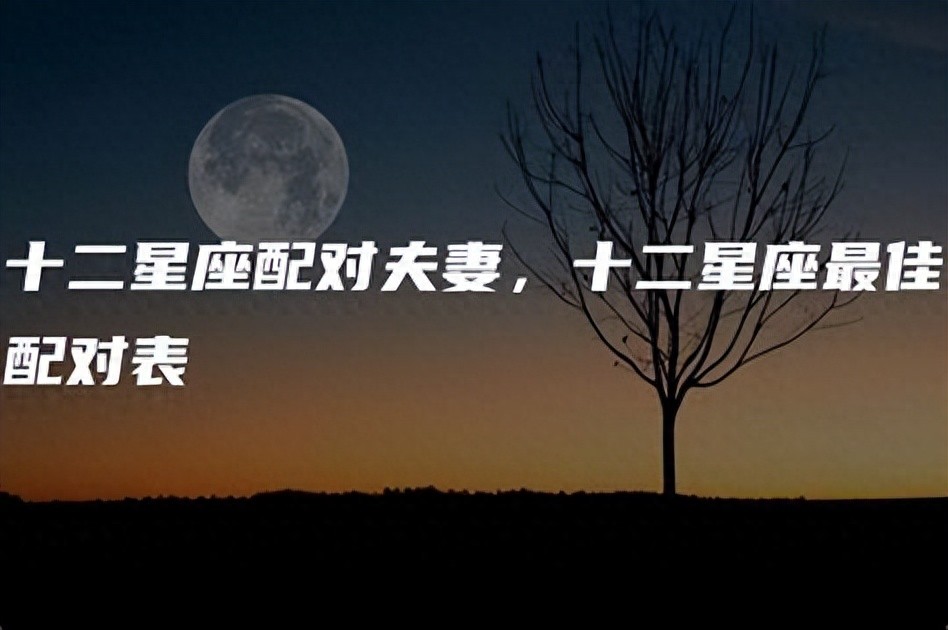 十二星座配对指数表（12星座到底和谁最相配，选对了人便是幸福一生！）