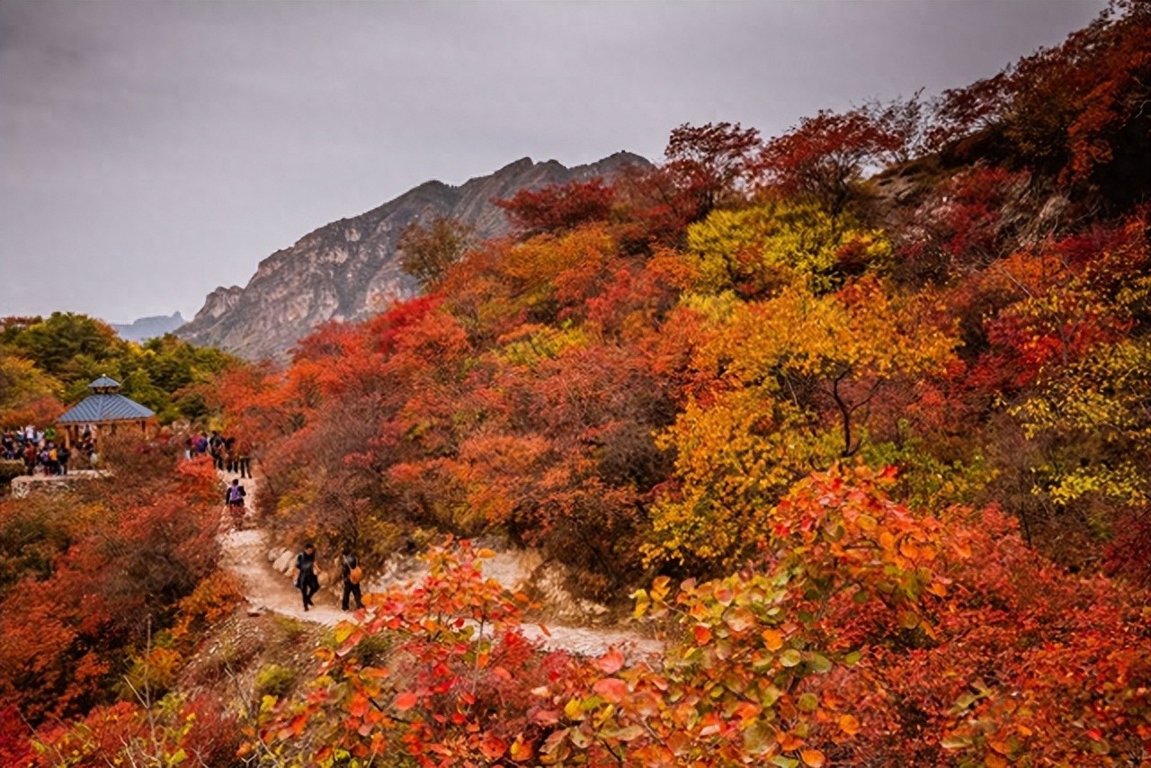 金风玉露、落叶成诗，10首关于九月的经典古诗词：九月霜风吹客衣，溪头红叶傍人飞！