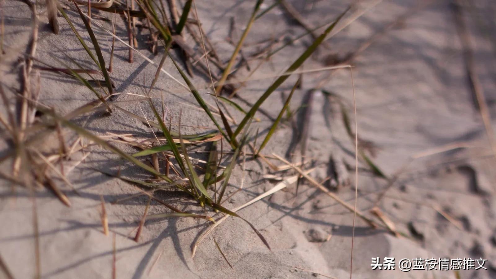 姐夫和小姨子好上了，该怎么面对姐姐？